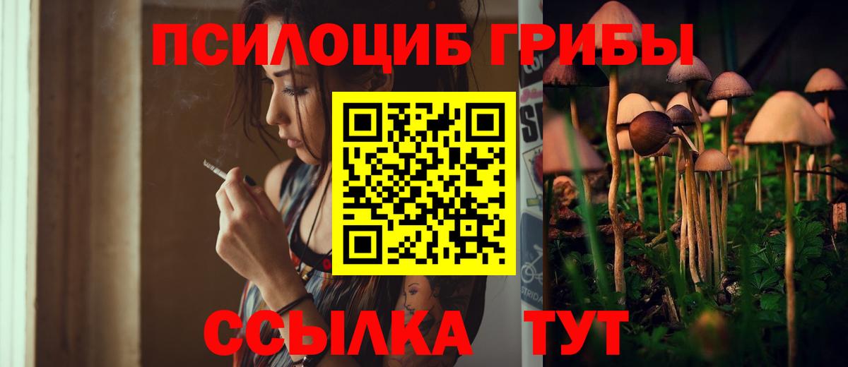 Кропоткин  Галлюциногенные грибы ЛСД  Вход с VPN 
